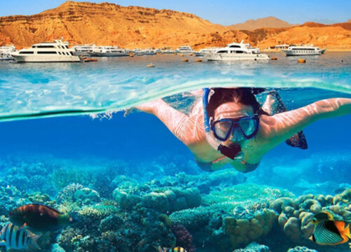 Speedboat Snorkeling and Sunset Tour in Hurghada